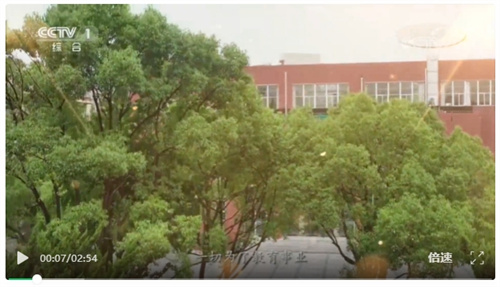 1765432076460055.jpg 3.jpg